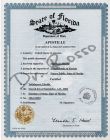 Certificación Americana a través de Cancillería de Cursos en Miami, Fl.