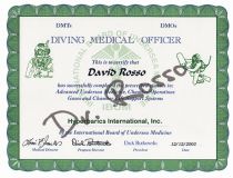 Diving Medical Officer - Advanced Undersea Medicina, Chamber Operations Gases and Chamber Life Support System